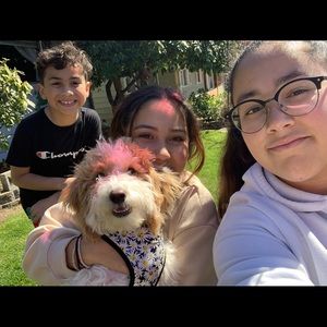 Meet your Posher, Jada